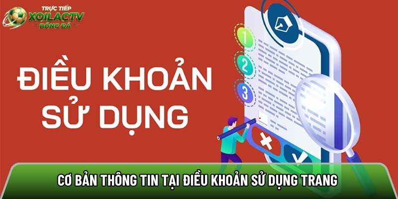 Cơ bản thông tin tại điều khoản sử dụng trang 