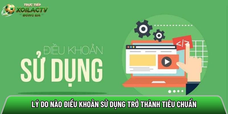 Lý do nào điều khoản sử dụng trở thành tiêu chuẩn