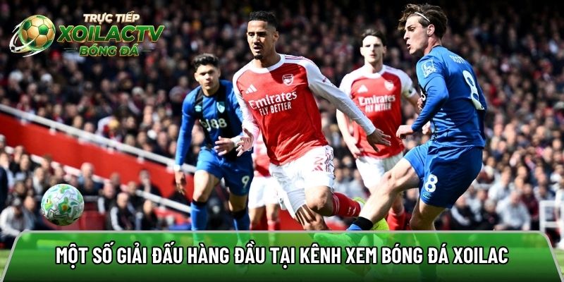 Một số giải đấu hàng đầu tại kênh xem bóng đá Xoilac