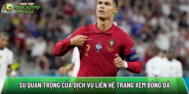 Sự quan trọng của dịch vụ liên hệ trang xem bóng đá