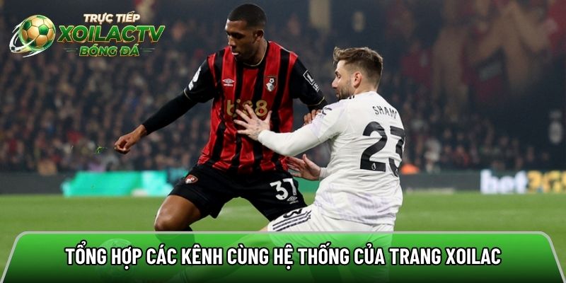 Tổng hợp các kênh cùng hệ thống của trang Xoilac