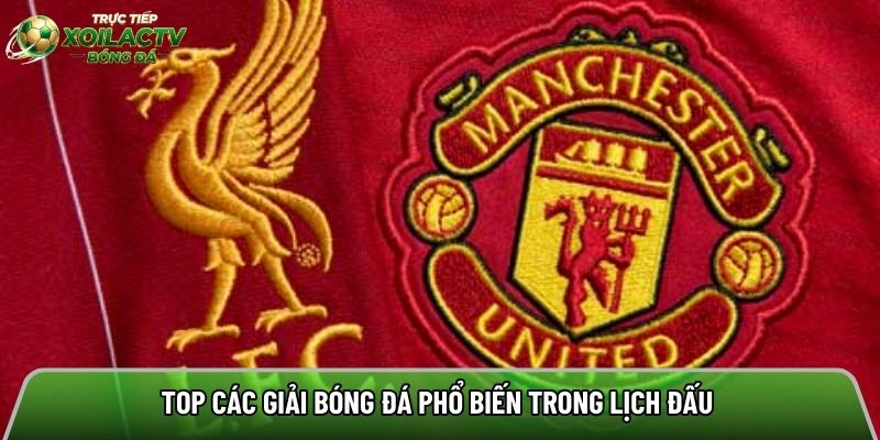 Top các giải bóng đá phổ biến trong lịch đấu 