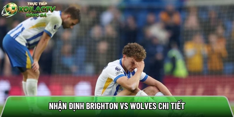 Nhận định Brighton vs Wolves chi tiết