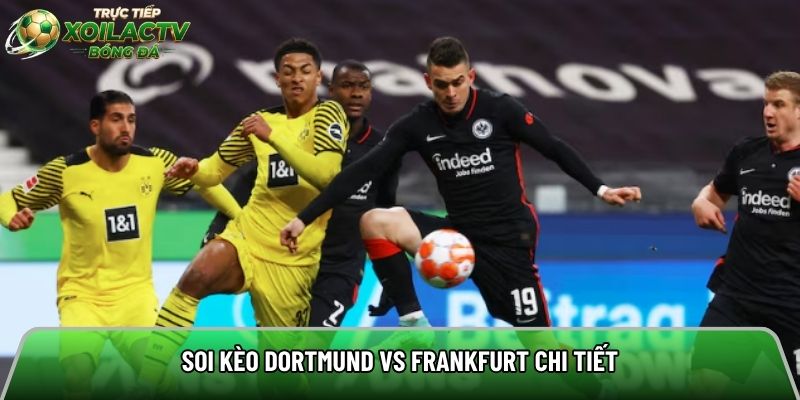 Soi kèo Dortmund vs Frankfurt chi tiết